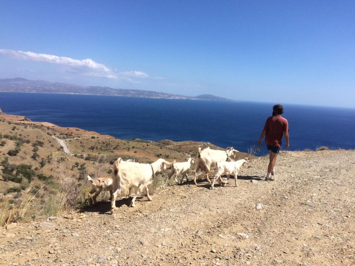 Sea Breeze Ecological Villa Agia Galini Zewnętrze zdjęcie
