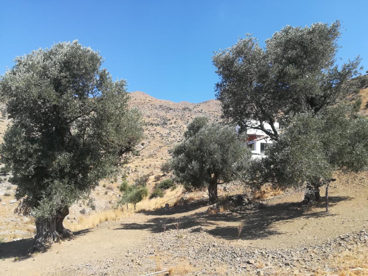 Sea Breeze Ecological Villa Agia Galini Zewnętrze zdjęcie