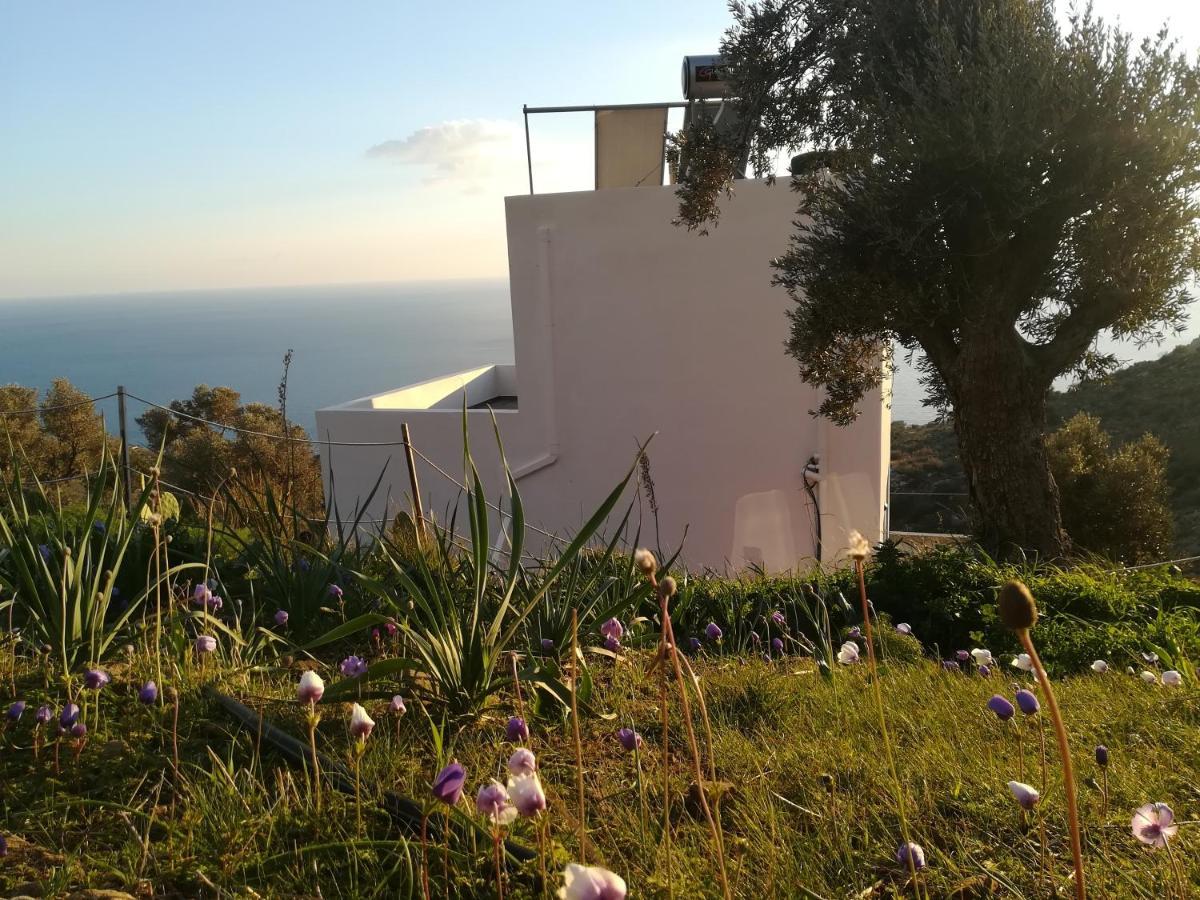 Sea Breeze Ecological Villa Agia Galini Zewnętrze zdjęcie